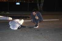 Selfie tutkusu sonları oldu