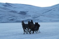 ÇıLDıR GÖLÜ - Çıldır Gölü'nde Atlı Kızak Keyfi Başladı
