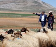 KOOPERATİFÇİLİK - Konuk'tan Kooperatifçilik Günü Mesajı