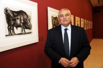 Picasso Sergisi'ne Ziyaretçi Akını