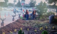 APRON - Adana Havalimanı Belediyelerin İşbirliğiyle Yeşillendiriliyor