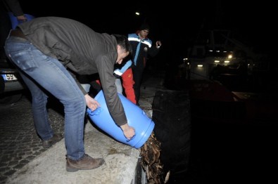 Çanakkale'de 'Deniz Patlıcanı' Operasyonu