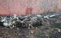 GANDHİ - İniş Yapan Uçak Duvara Çarptı Açıklaması 10 Ölü