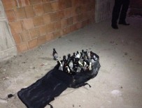 Başkentte bir çanta molotof kokteyli bulundu