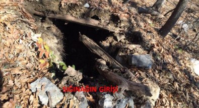 PKK'ya Ağır Darbe!