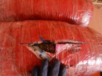 Uşak'ta Uyuşturucu Operasyonu