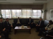 TÜRK PATENT ENSTİTÜSÜ - Besni Üzümü Patent Peşinde