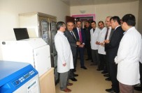 PEYAMİ BATTAL - YYÜ'de Kemik İliği Nakil Ünitesi Hizmete Açıldı