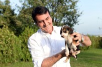 Can Dostlar Artık Sahipsiz Değil