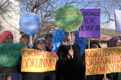 Köylülerin Mermer Ocağı Tepkisi