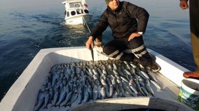 Oltacıların Yüzünü Çinakop Güldürdü