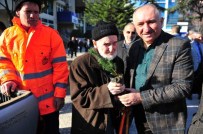 YALÇıN YıLMAZ - Orhangazililer Yeni Yıla Ağaç Keserek Değil, Fidan Dikerek Girecek