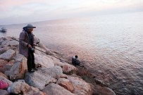 TAŞBURUN - Didim'de Balık Tutkunların Merkezi Taşburun Oldu