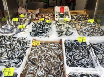 Hamsinin Kilosu 15 TL'ye Yükseldi