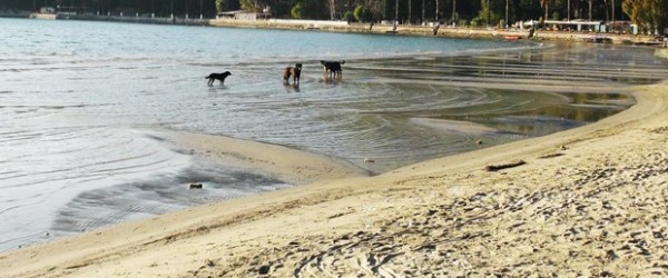 Akdeniz'deki depremler ve Akyaka'da deniz çekilmesi korkuttu