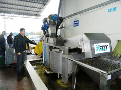 'Zeytinyağı Fiyatları Artabilir'