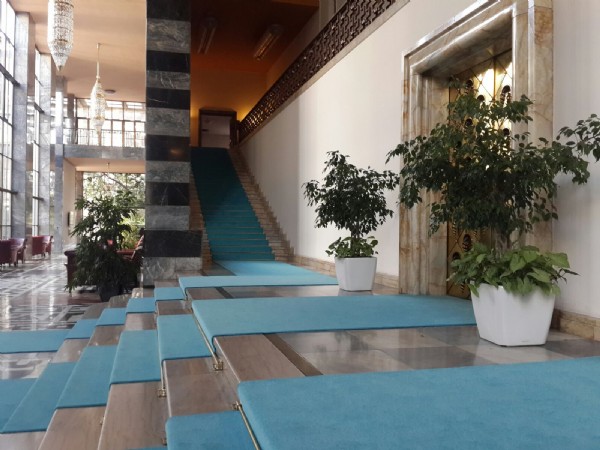 Meclis'e turkuaz halı