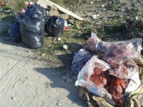 AT ETİ - Bursa'da AT ETİ Operasyonu