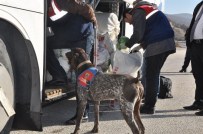 Bursa'da Geniş Çaplı Asayiş Operasyonu