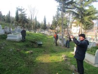İBRAHİM SADIK EDİS - Vezirköprü'de Mezarlıklara Çevre Düzenlemesi