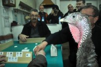LÜTFÜ DEMIR - Zonguldak'ta Hindili Okey Turnuvası