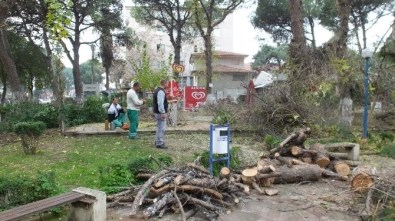 Burhaniye Şehit Turhan Bayraktar Parkında Bakım Zamanı