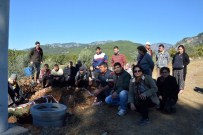Köyceğiz'de Vatandaşların Baz İstasyonu Tepkisi