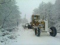 Ordu'nun 11 İlçesi Kar Altında
