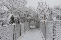 KÖY YOLLARI - Şırnak'ta Kar Tatili