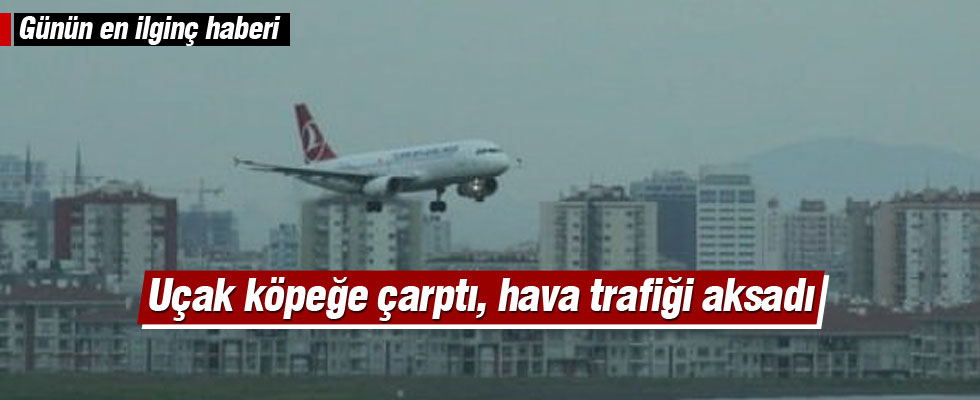 Uçak köpeğe çarptı hava trafiği aksadı
