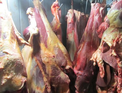 Edirne'de 3,6 Ton Kaçak Et Ele Geçirildi