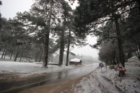 GÜLSÜM ANA - Edremit Ve Havran'da Kar Yağışı Başladı