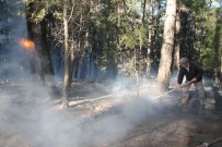 ORMAN ALANI - Fethiye'de Kış Ortasında Orman Yangını