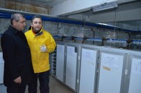 Her Derenin Balığı Ayrı Dolaplarda