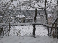 TOYGARLı - Kar Yağışı Cide'de Etkisini Sürdürüyor