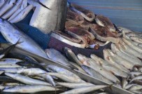 BALIK BEREKETİ - Kar Yağmaması En Çok Onların İşleri Etkiledi