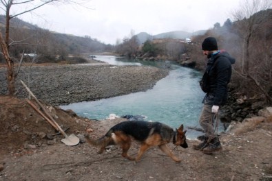 Kayıp Çocukları Özel Eğitimli Köpekler Arıyor