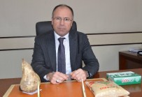 Kayseri Şeker'de 341 Bin Ton Şeker Üretildi