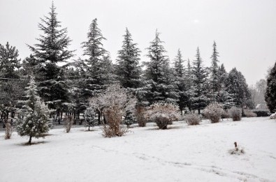 Sorgun'da Kar Yağışı Kazaları Beraberinde Getirdi