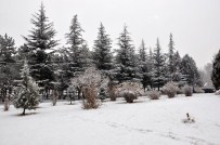 KAR MANZARALARI - Sorgun'da Kar Yağışı Kazaları Beraberinde Getirdi