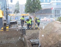 TAKSIM MEYDANı - Taksim'de işçiler yoğun kar yağışı altında ağaç dikti