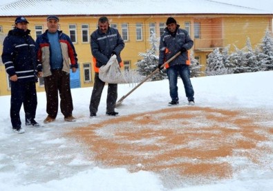 Yazıhüyük Belediyesi Kuşlara Yem Köpeklere Ekmek Dağıttı