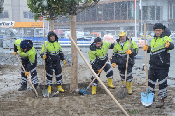 Taksim'de işçiler yoğun kar yağışı altında ağaç dikti