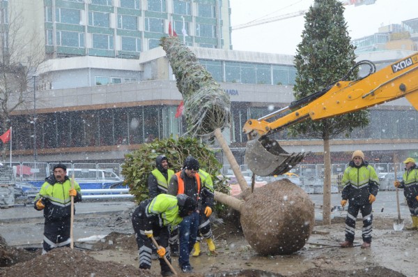 Taksim'de işçiler yoğun kar yağışı altında ağaç dikti