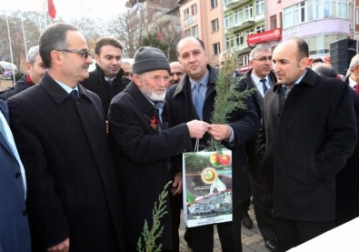 Amasya'da Halka Bin Fidan Dağıtıldı