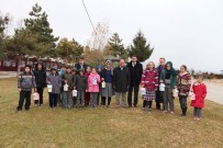 BEYŞEHIR GÖLÜ - Biriktirdikleri Harçlıklar Kuşları Yuva Sahibi Yaptı