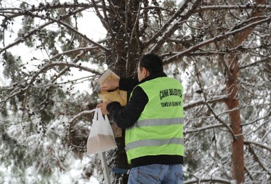 Canik'ten Kuşlar Yem