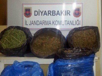 Diyarbakır'da 42,5 Kilogram Esrar Ele Geçirildi