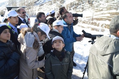 Eleşkirt'te Doğaya Yem Bırakıldı