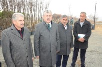 Mahallede Fidanlık Alanı Oluşturuldu